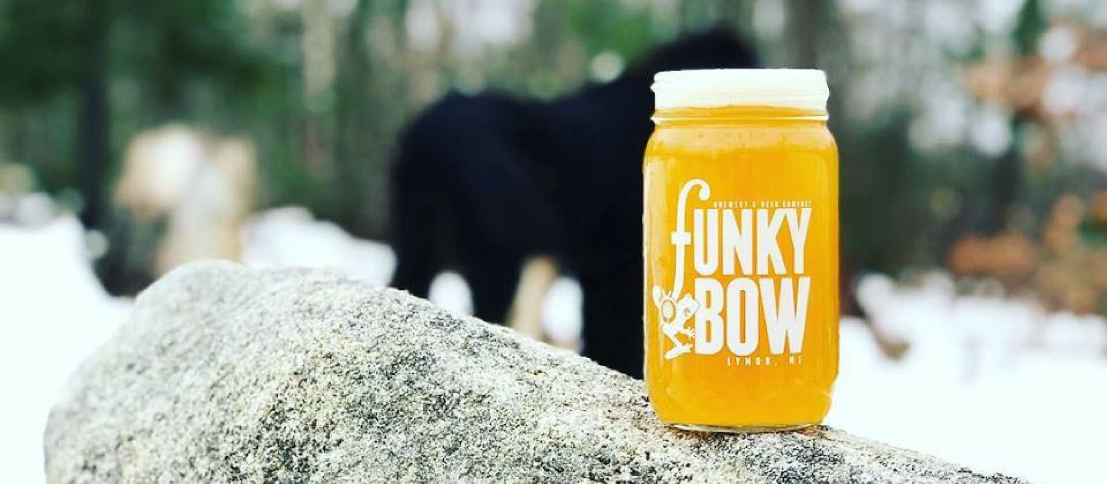 Photo for: Three awards for Funky Bow Brewery at a Beer Competition