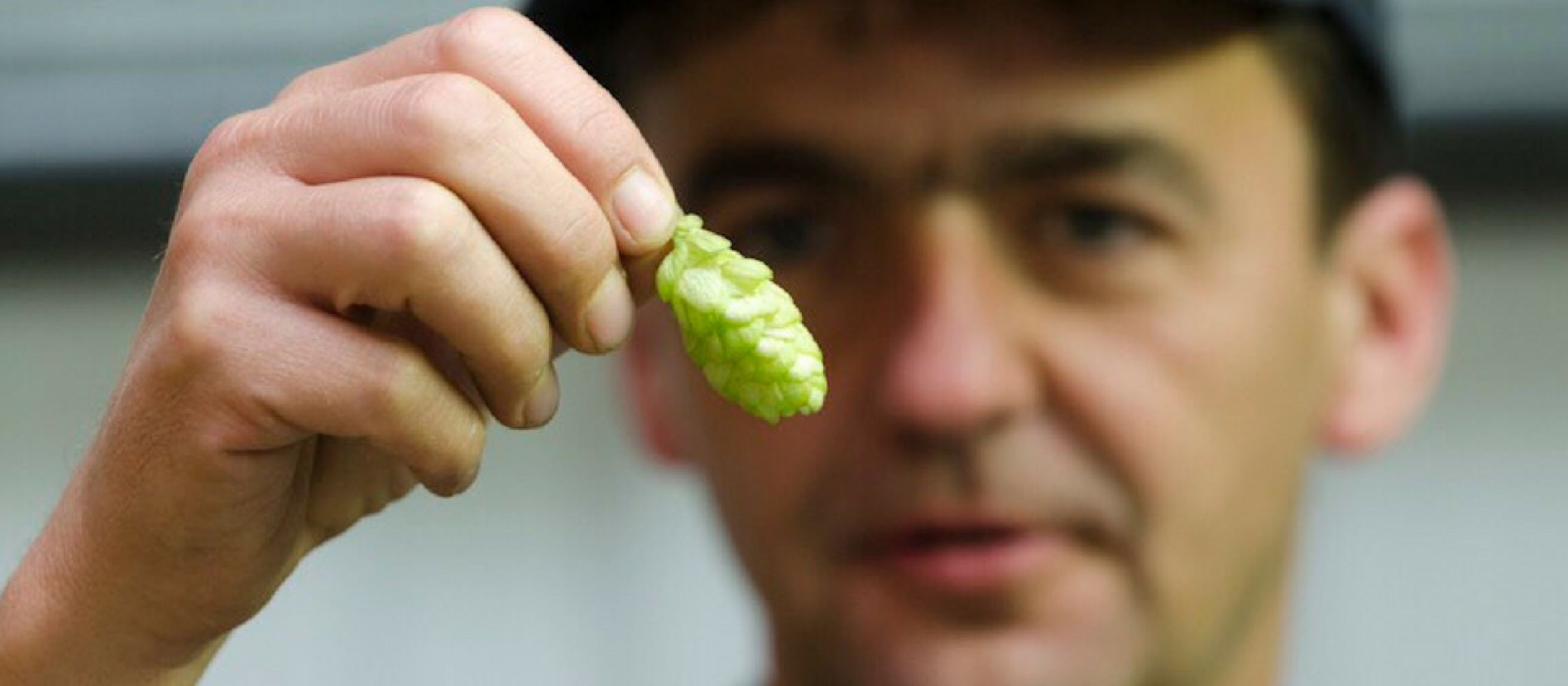 Photo for: The Beauty Of Bottle-conditioned Beer