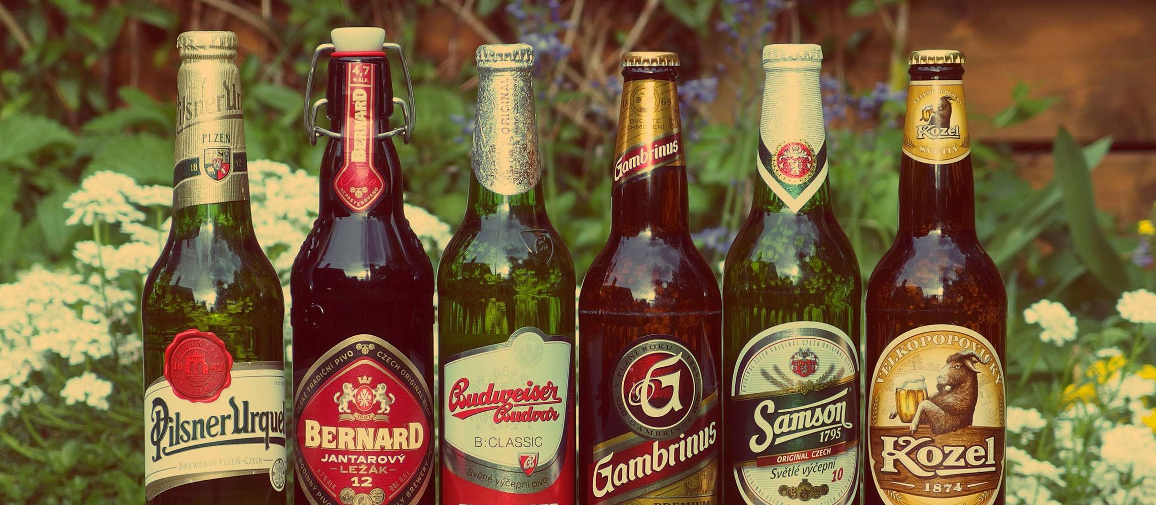 Photo for: 10 Best Craft Beer Subscription Boxes