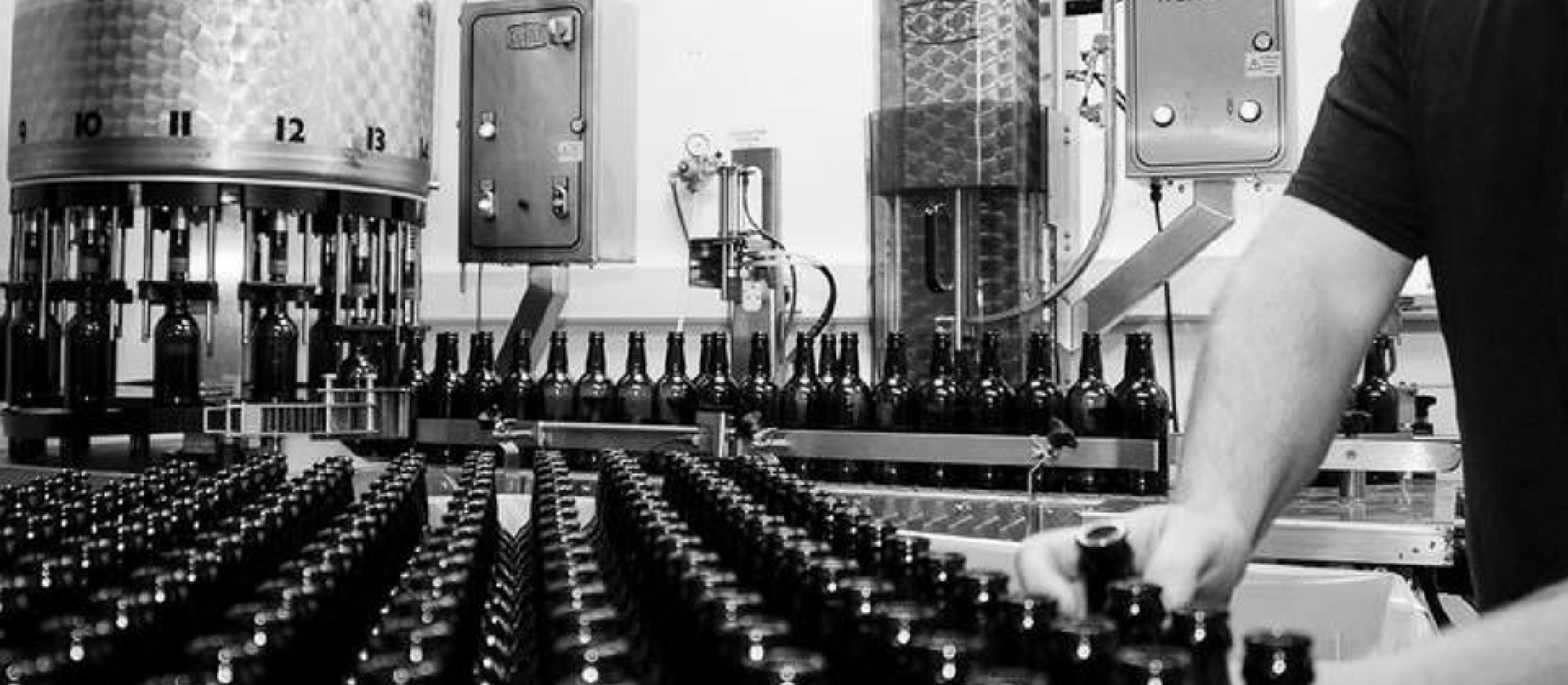 Photo for: Contemporary Ales Brewed in Wales