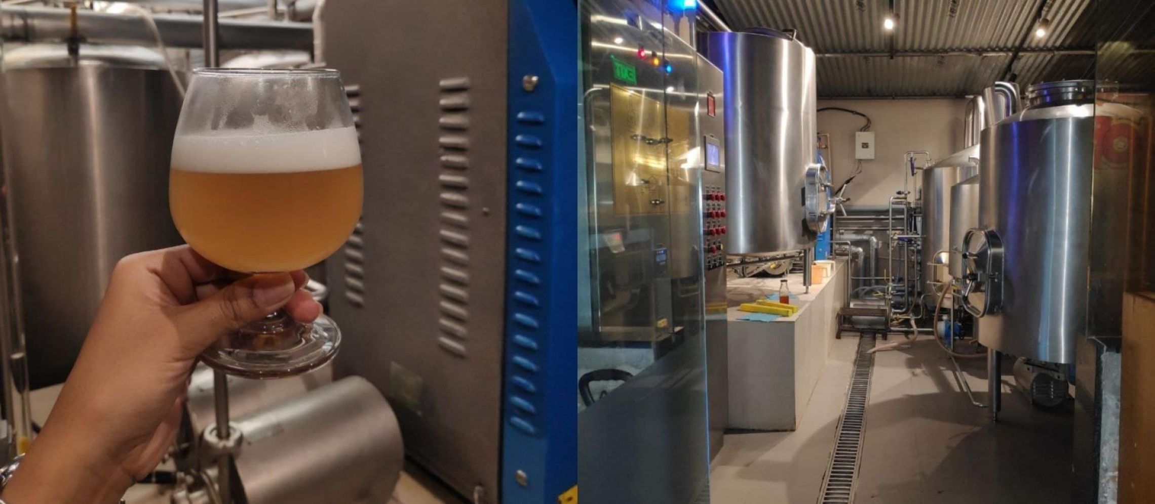 Photo for: Unfolding The Chemistry Of Beer