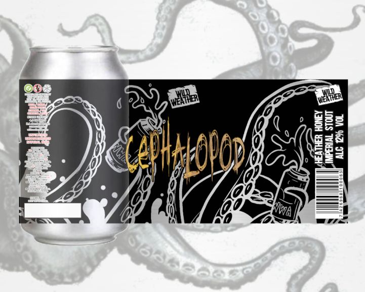 Photo for: Cephalopod