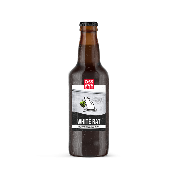 Photo for: White Rat